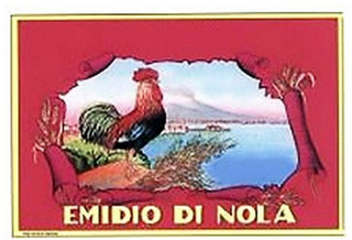 EMIDIO DI NOLA logo