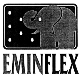 EMINFLEX logo