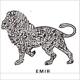 EMIR logo