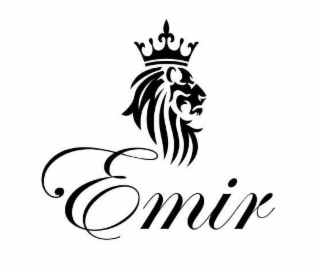 EMIR logo