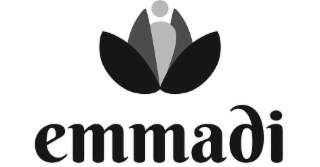 EMMADI logo