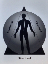 EMOTIONAL CHEMICAL STRUCTURAL logo