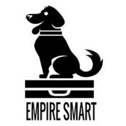 EMPIRE SMART logo