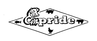EMPRIDE logo