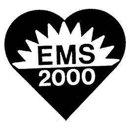 EMS 2000 logo