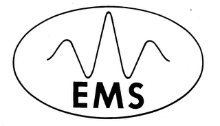 EMS logo