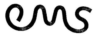 EMS logo