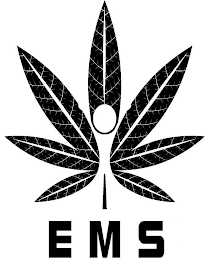 EMS logo