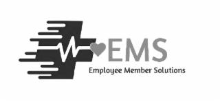 EMS EMPLOYEE MEMBER SOLUTIONS logo