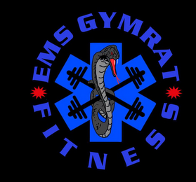 EMS GYMRAT FITNESS logo