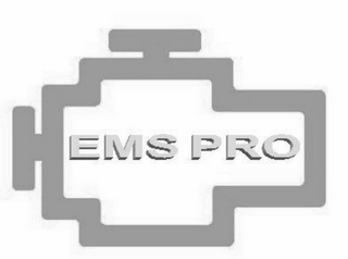 EMS PRO logo