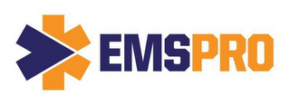 EMS PRO logo