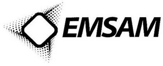 EMSAM logo