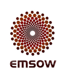 EMSOW logo