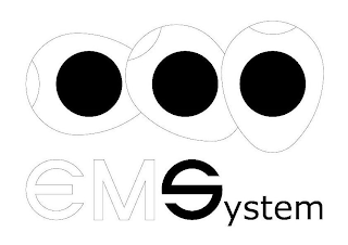 EMSYSTEM logo