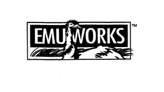 EMUWORKS logo