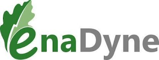 ENADYNE logo