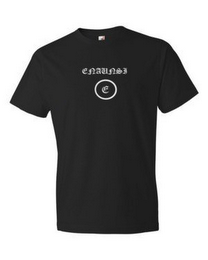 ENAUNSI logo