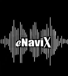 ENAVIX logo