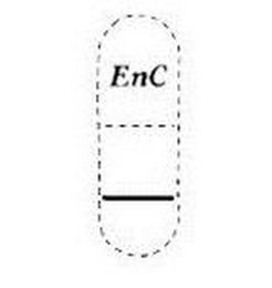 ENC logo