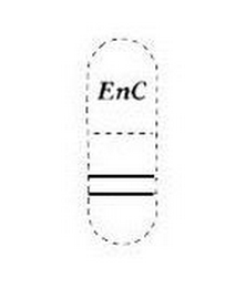 ENC logo