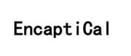 ENCAPT ICA L logo