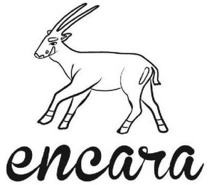ENCARA logo