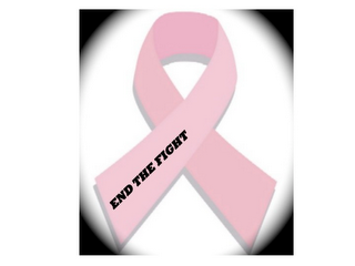 END THE FIGHT logo