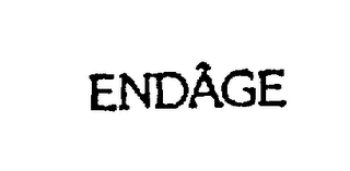 ENDAGE logo