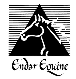 ENDAR EQUINE logo