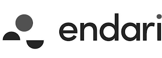 ENDARI logo