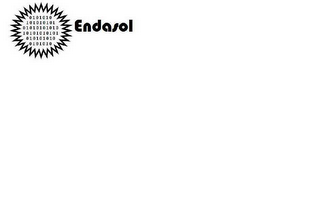 ENDASOL logo