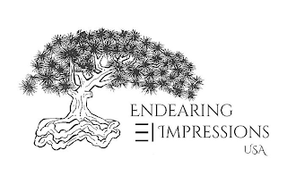 ENDEARING IMPRESSIONS USA logo