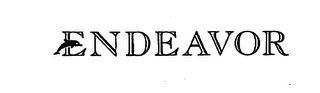 ENDEAVOR logo