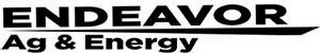 ENDEAVOR AG & ENERGY logo