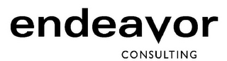 ENDEAVOR CONSULTING logo