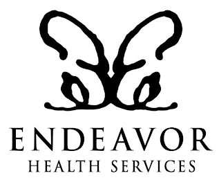 ENDEAVOR HEALTH SERVICES logo