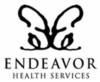 ENDEAVOR HEALTH SERVICES logo