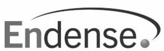 ENDENSE logo