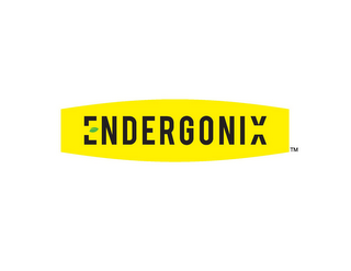 ENDERGONIX logo