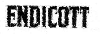 ENDICOTT logo