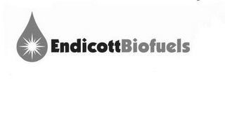ENDICOTT BIOFUELS logo