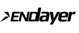 ENDLAYER logo