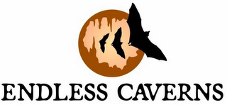 ENDLESS CAVERNS logo