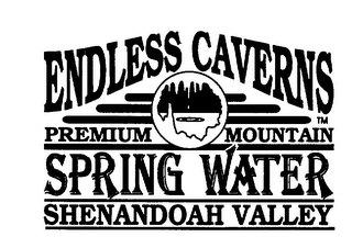 ENDLESS CAVERNS PREMIUM MOUNTAIN SPRING WATER SHENANDOAH VALLEY logo
