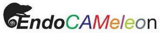 ENDOCAMELEON logo