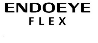 ENDOEYE FLEX logo