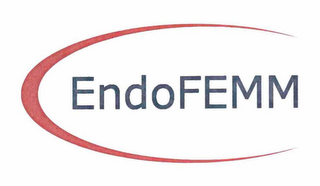 ENDOFEMM logo