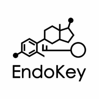 ENDOKEY logo