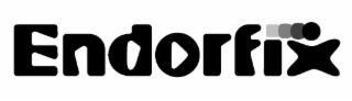 ENDORFIX logo